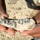 Illustration for article titled This Ancient Fossil Just Rewrote The History of Human Evolution